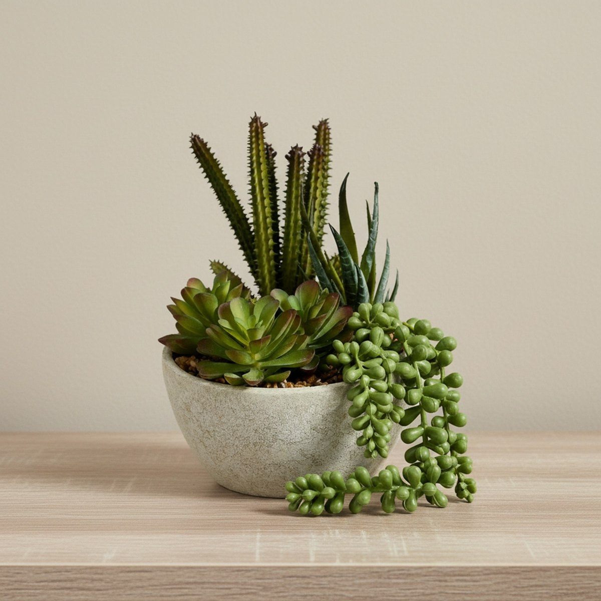 Tant Artificial Succulent Potted Plants in Paper Pulp Pot - 19 cm-hbxlivingroom-decorandaccessories-plantersandurns-image-1