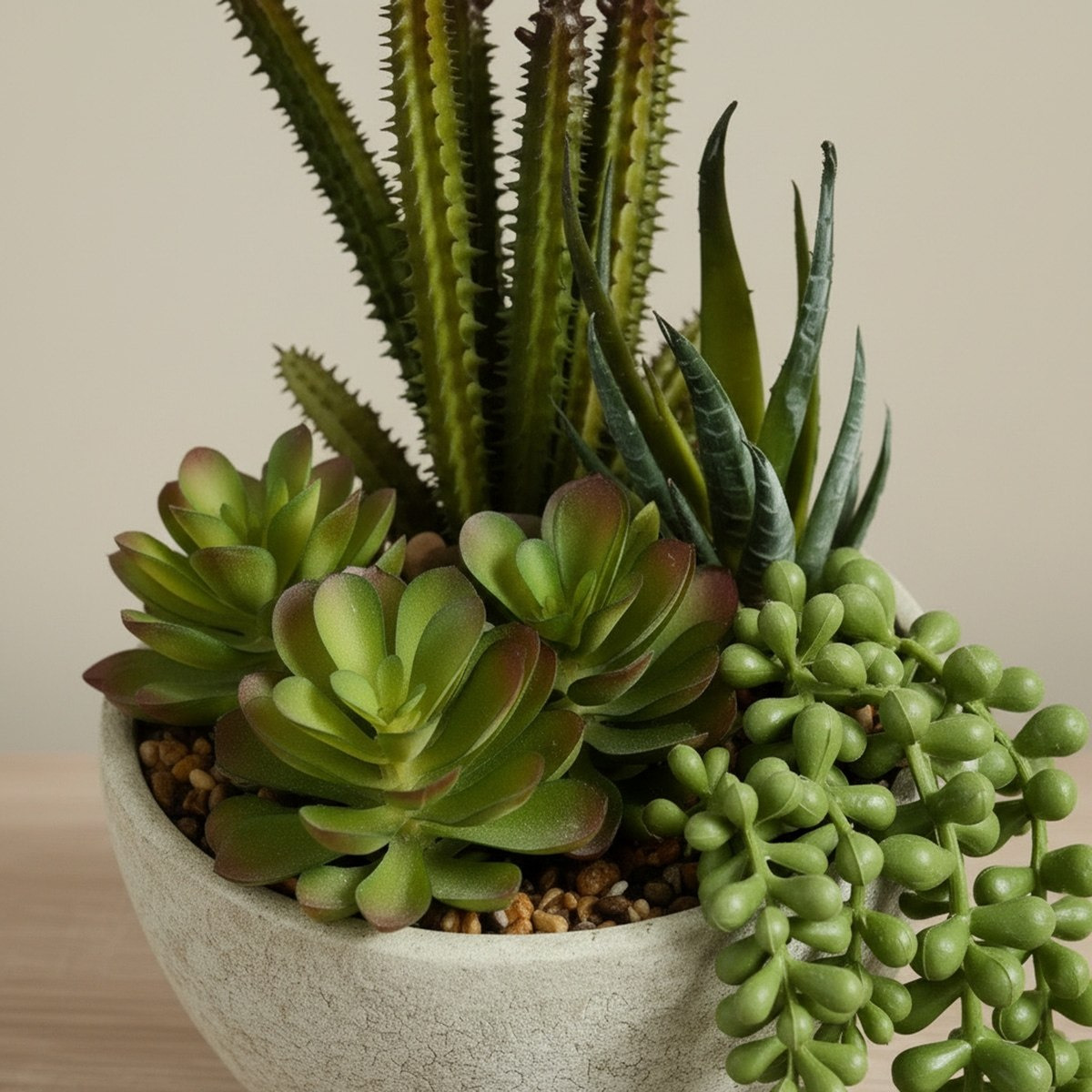 Tant Artificial Succulent Potted Plants in Paper Pulp Pot - 19 cm-hbxlivingroom-decorandaccessories-plantersandurns-image-2