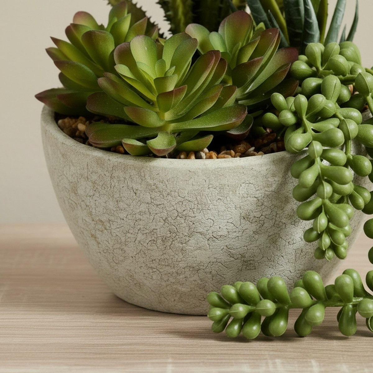 Tant Artificial Succulent Potted Plants in Paper Pulp Pot - 19 cm-hbxlivingroom-decorandaccessories-plantersandurns-image-3