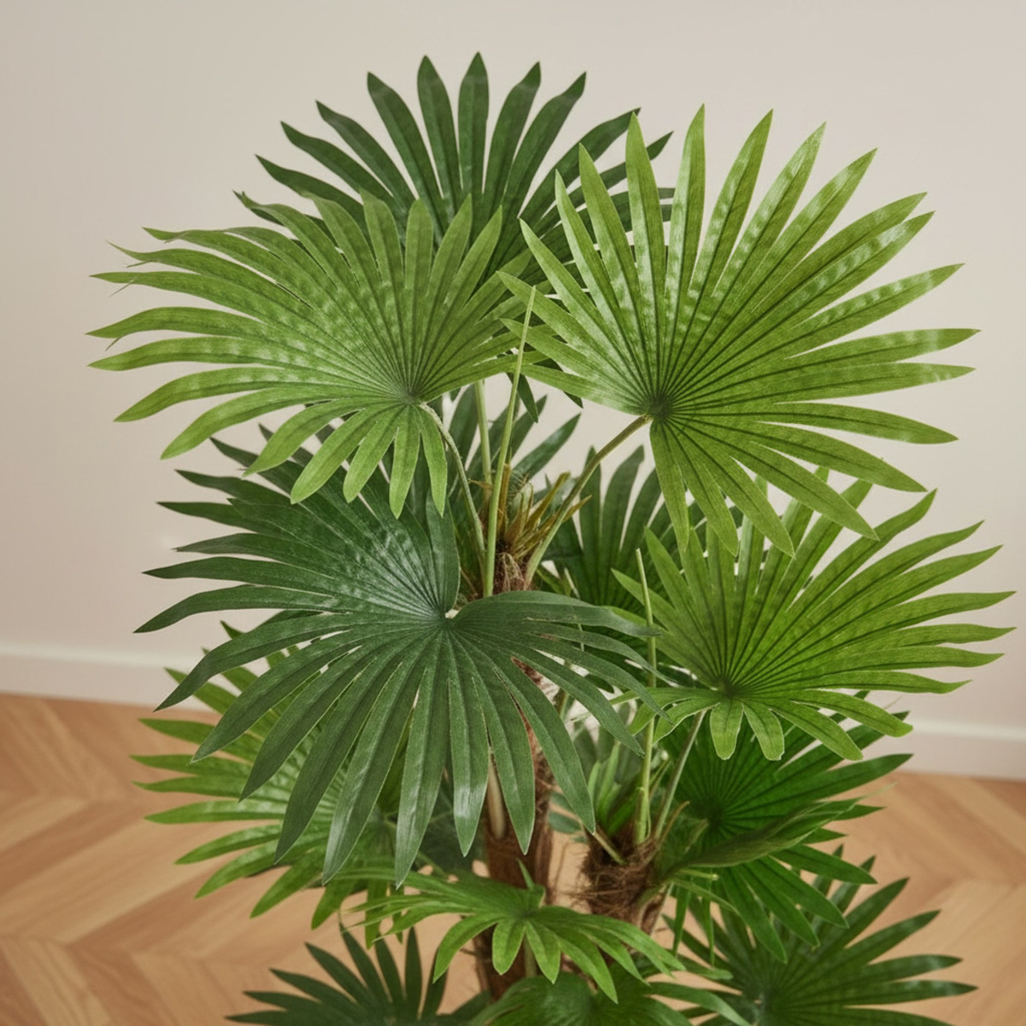 شجرة نخيل مروحة صناعية من تيودورا - 150 سم-hbxdecorandfurnishings-homeaccessories-artificialflowersandplants-image-2
