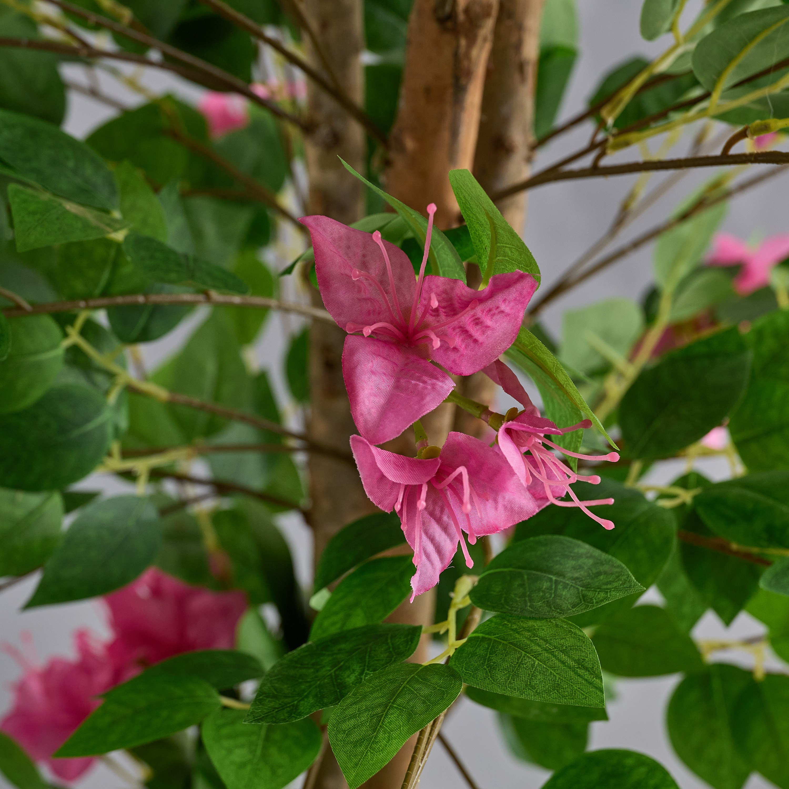 Teodora Artificial Bougainvillea Tree - 165 cm-hbxdecorandfurnishings-homeaccessories-artificialflowersandplants-image-3