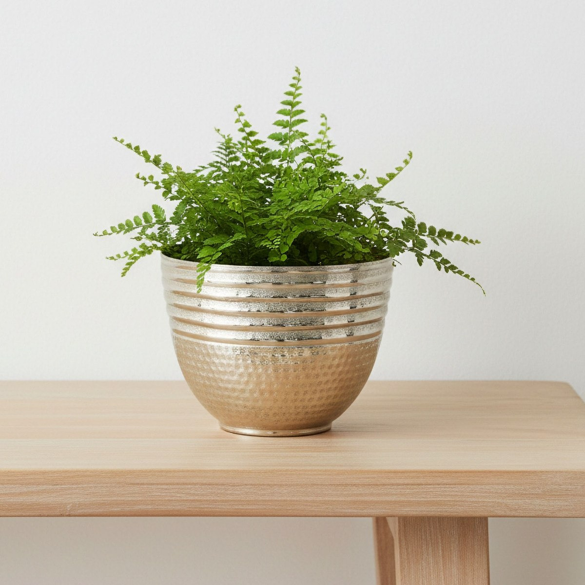 Aurum- Ausie- Elan Decorative Planter - 27x27x20 cm-hbxdecorandfurnishings-homeaccessories-plantersandurns-image-1