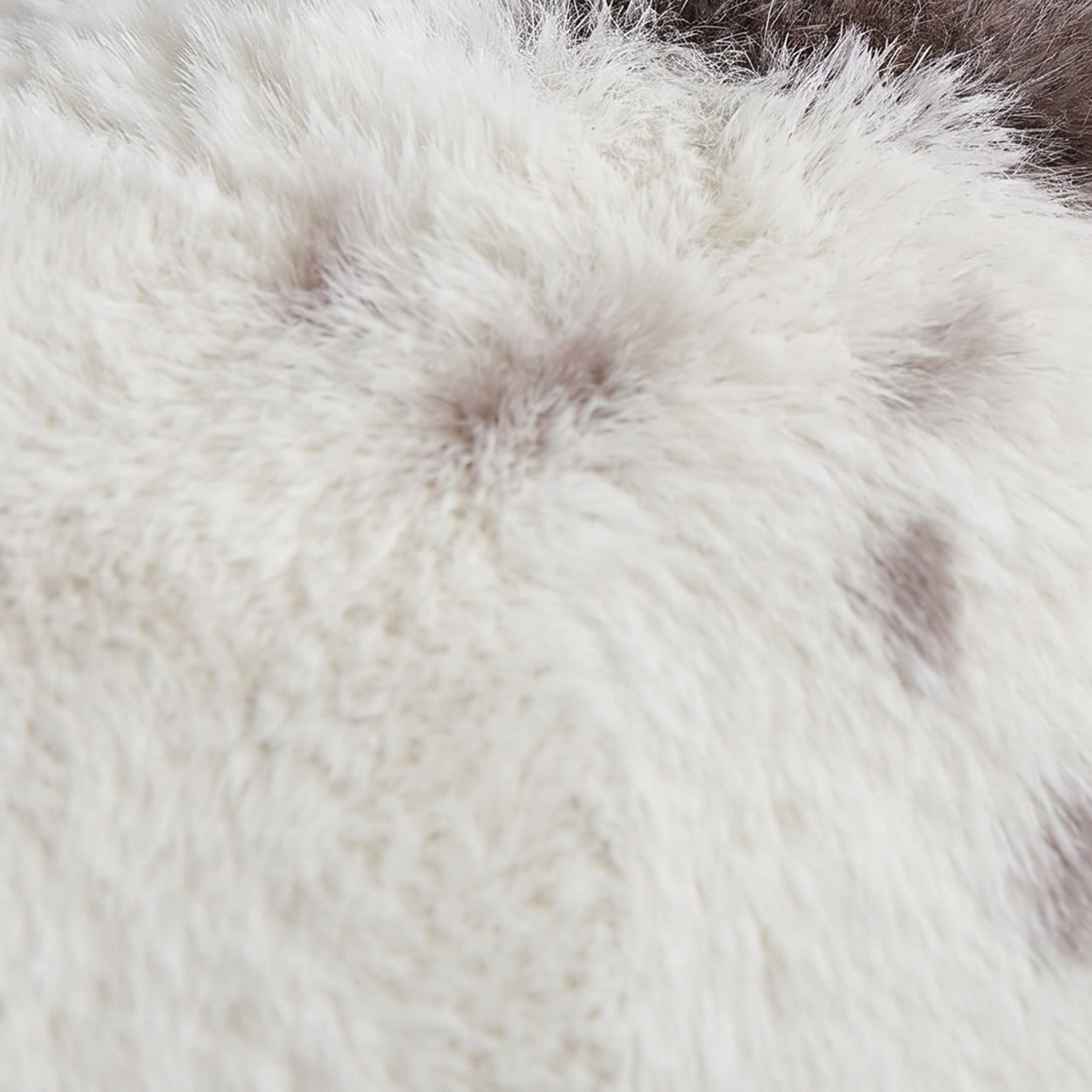 Cozy Duo 2-Piece Animal Cowhide Print Filled Cushion Set - 50x50 cm-hbxhomeware-hbxbedroom-image-2