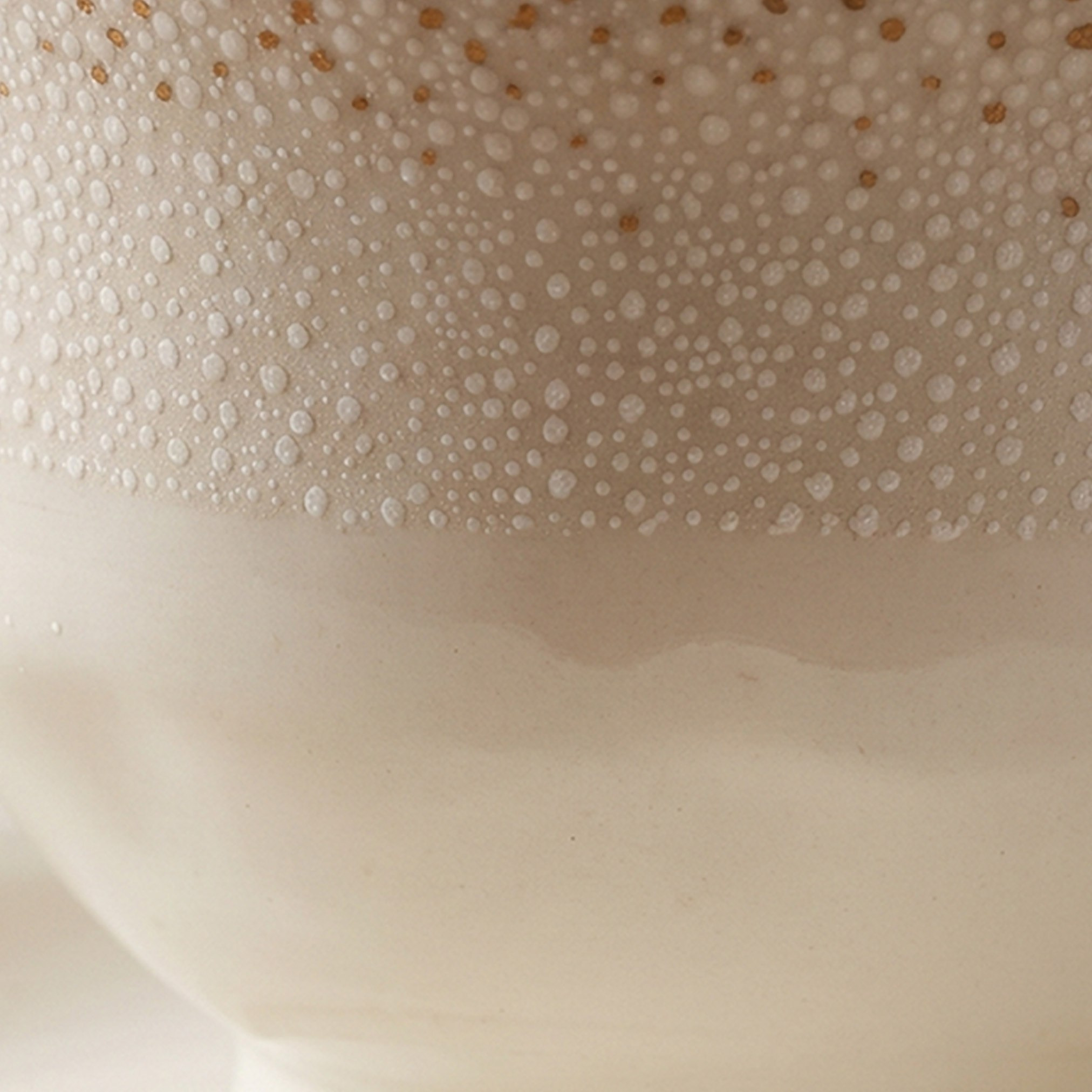 Lena New Bone China Tea Cup and Saucer Set - 220 ml-hbxkitchen-serveware-image-2