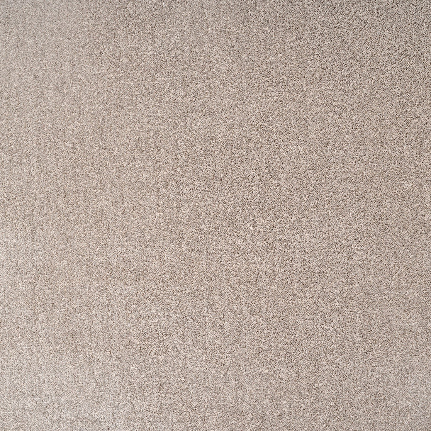 Atlanta Cozy Lite Microfibre Rug - 240x360 cm-hbxdecorandfurnishings-floorcoverings-rugs-image-2