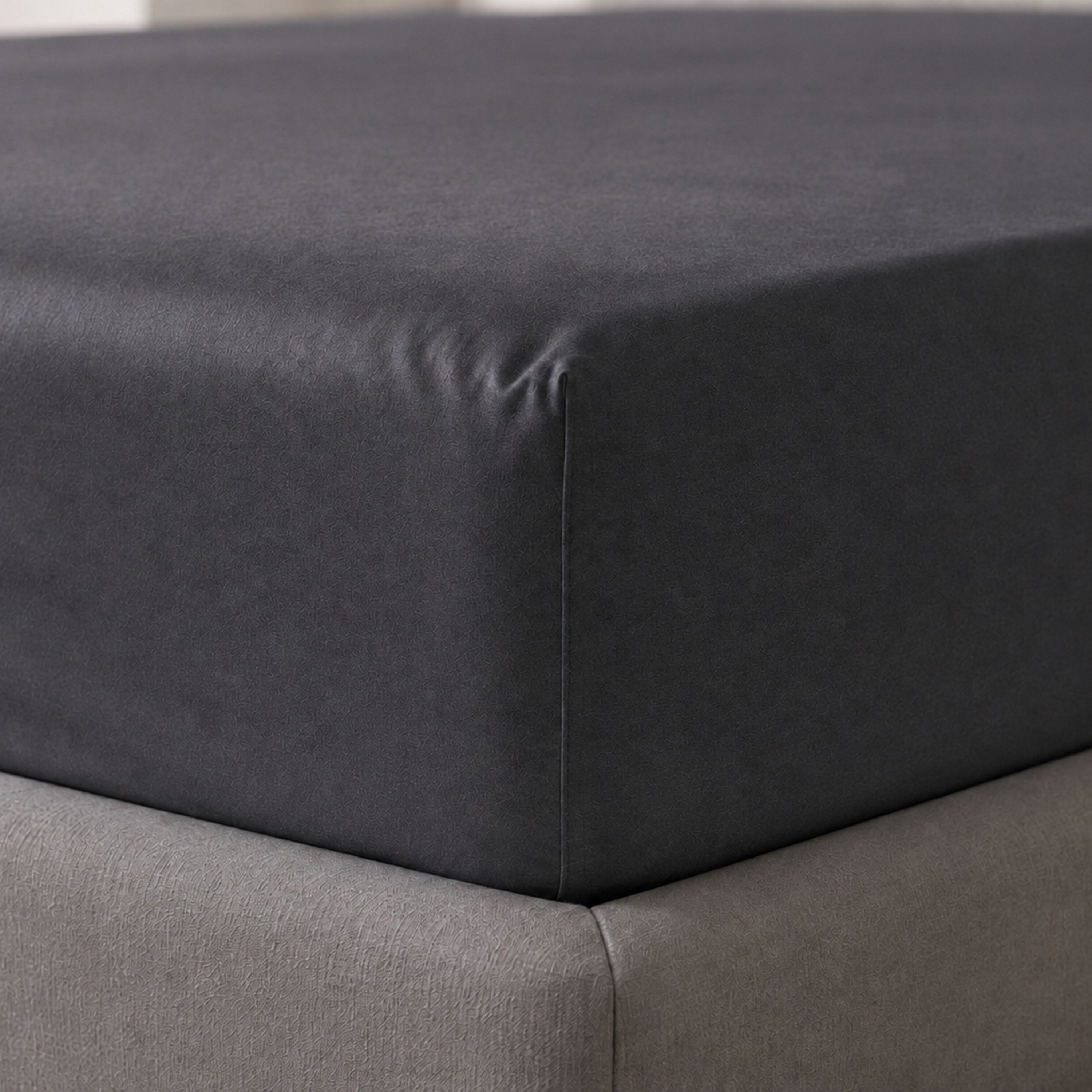 طقم شرشف مطاطي فردي سادة بعدد خيوط 600 خيط 2 قطعة من نيوبورت - 90 × 200 + 36 سم-hbxhomeware-bedding-fittedsheets-image-4