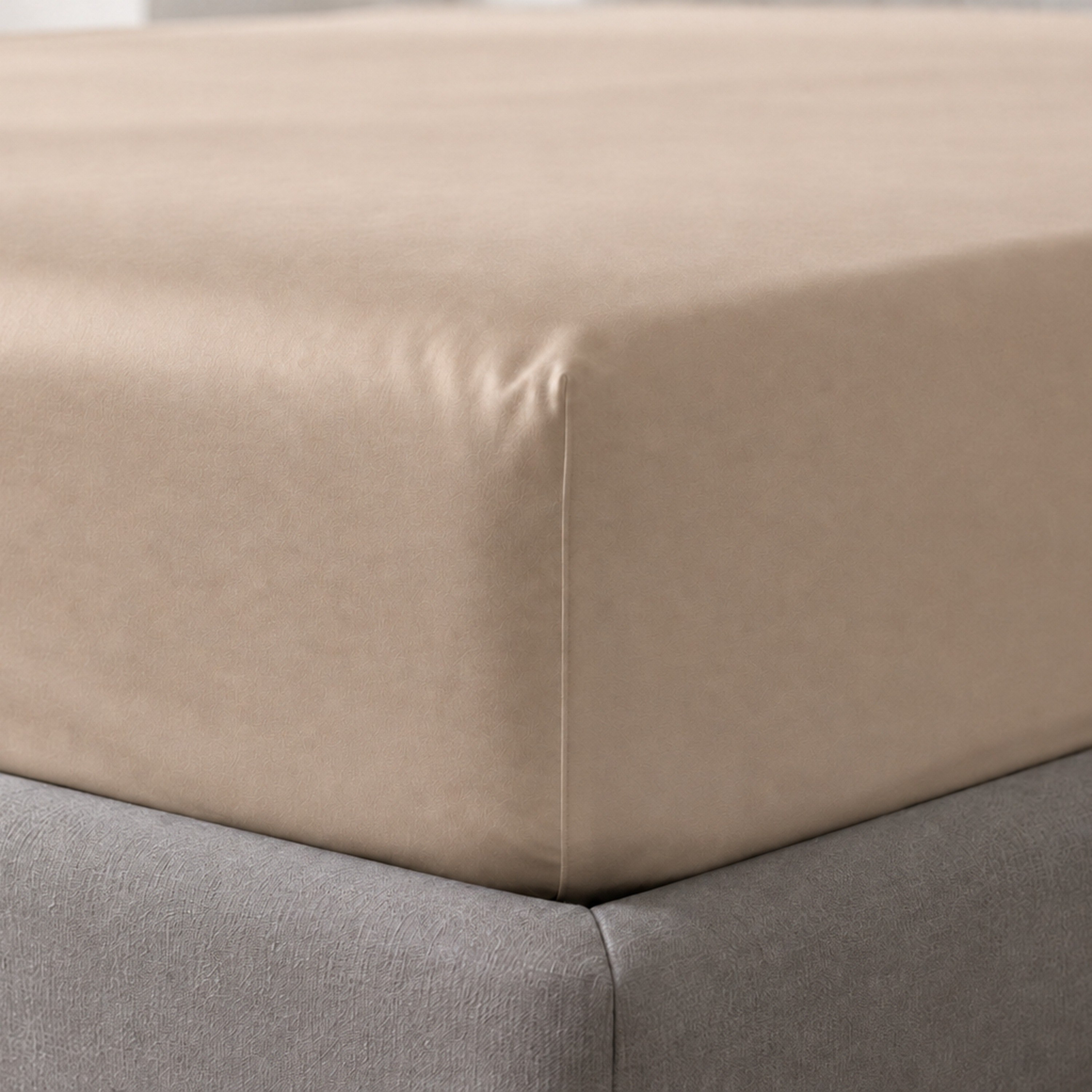 طقم شرشف مطاطي سادة مفرد قطعتين بعدد خيوط 600 من نيوبورت - 90×200+36 سم-hbxhomeware-bedding-fittedsheets-image-4