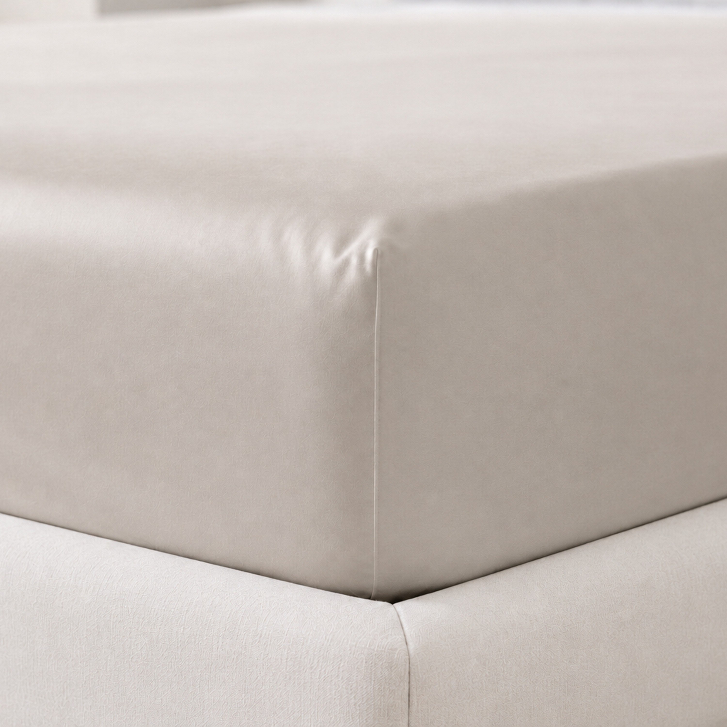Newport 600 Thread Count 2-Piece Solid Single Fitted Sheet Set - 90x200+36 cm-hbxhomeware-bedding-fittedsheets-image-4