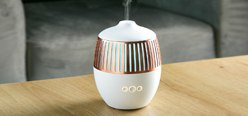 Home Fragrance