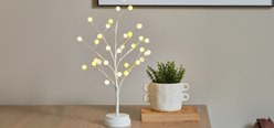 Lighting