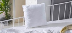 Cushion Fillings