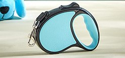 Pet Accessories