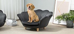 Pet Beds & Trees