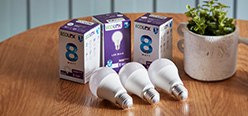 Bulbs