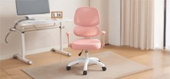 Study Chairs