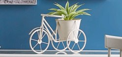 Planters & Urns