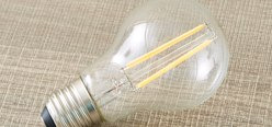 Bulbs