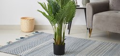 Artificial Flowers & Plants