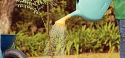 Diy & Garden