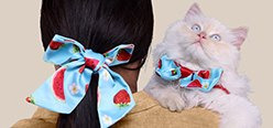 Pet Accessories